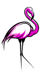 Фламинго смотрит вправо